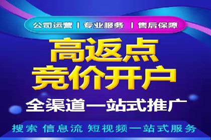 网络推广与竞价广告：双管齐下的策略案例